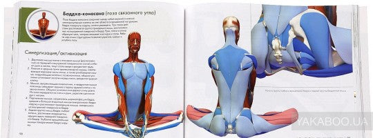 Ключевые позы йоги