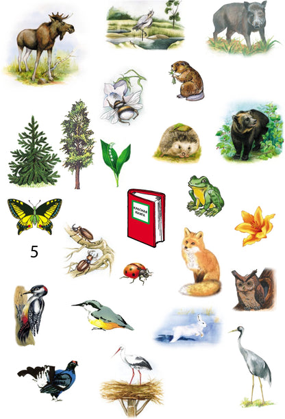 Добро пожаловать в экологию! Дидактический материал для работы с детьми 5-6 лет. Старшая группа. Коллажи, мнемотаблицы, модели, пиктограммы.ФГОС