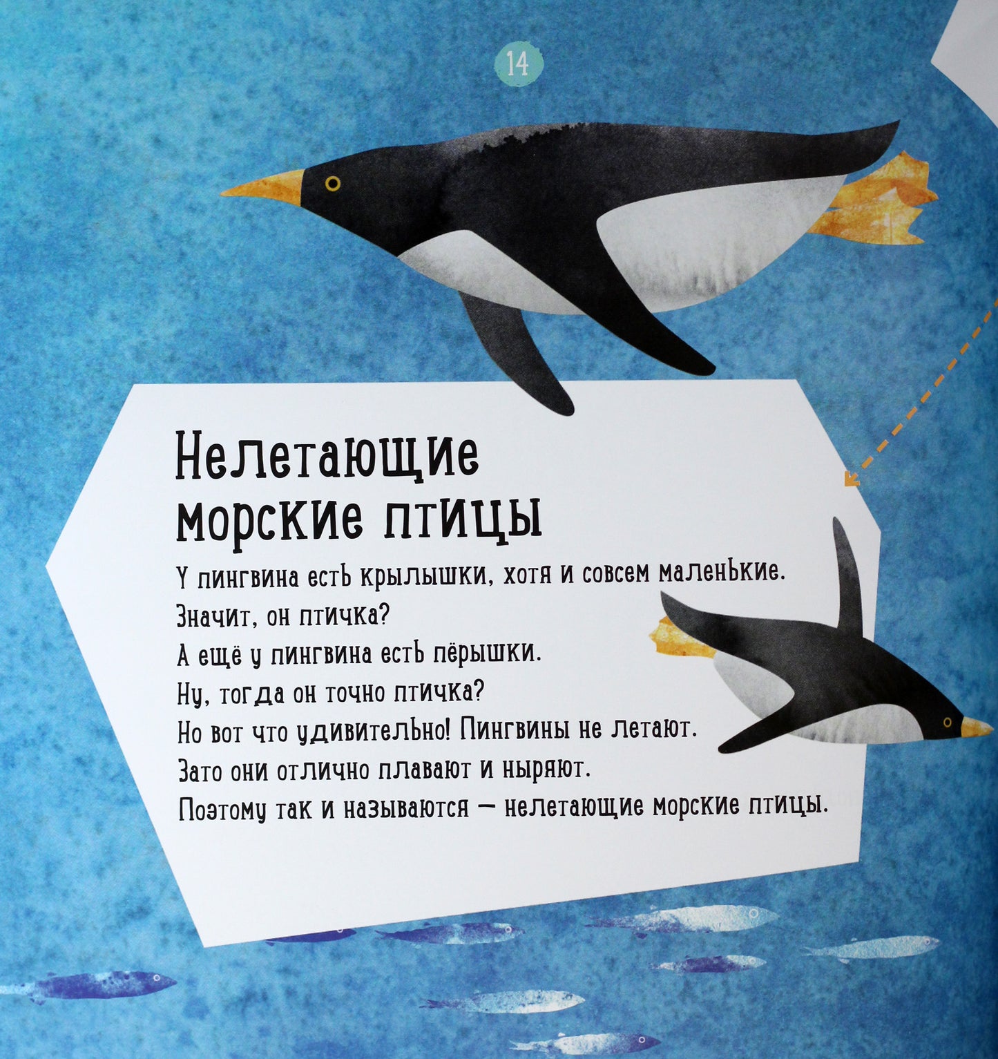 Профессор Карапуз - Где живёт пингвин?