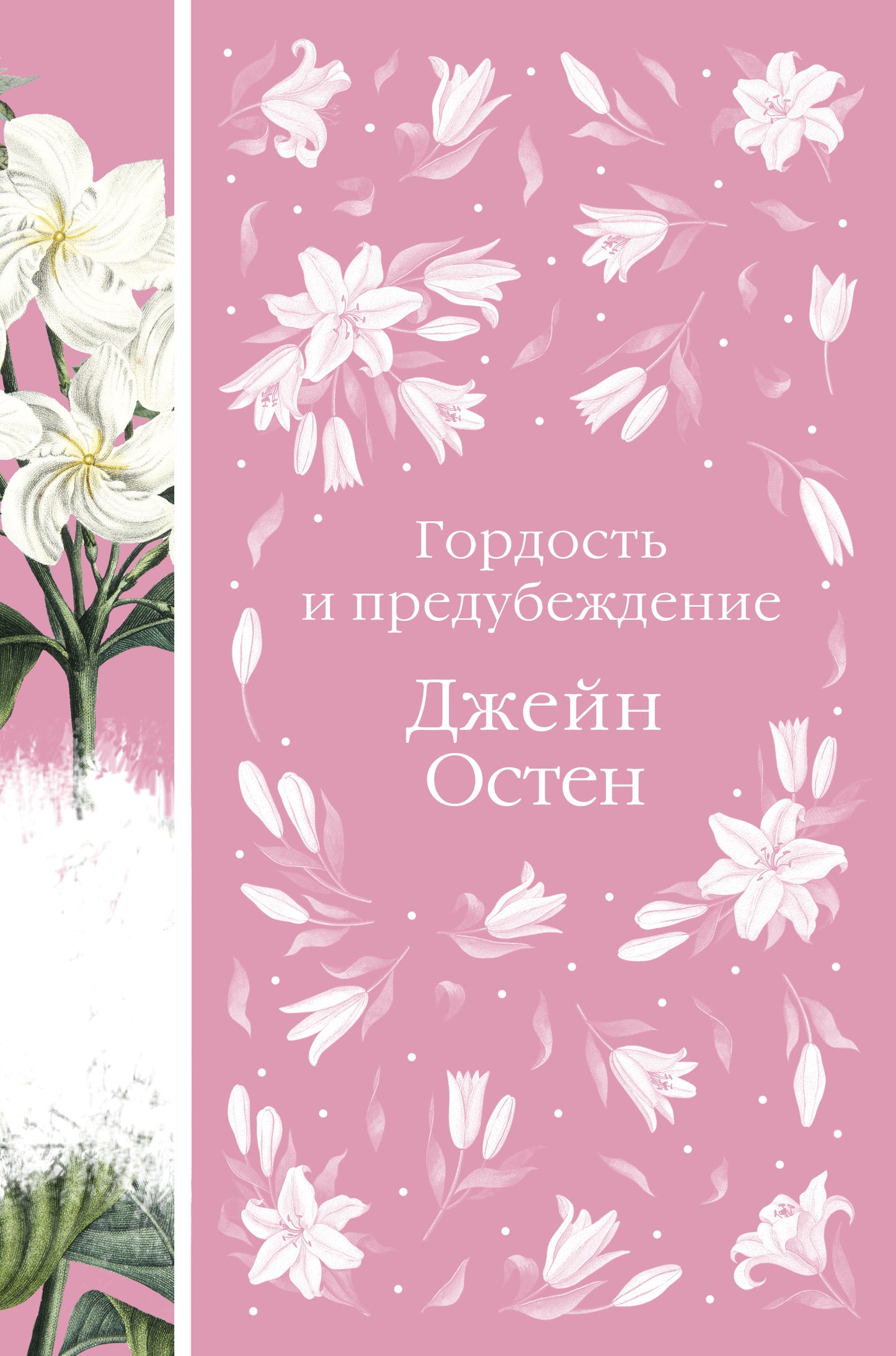 Гордость и предубеждение (книга #13)