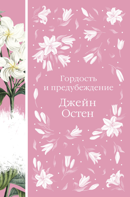Гордость и предубеждение (книга #13)