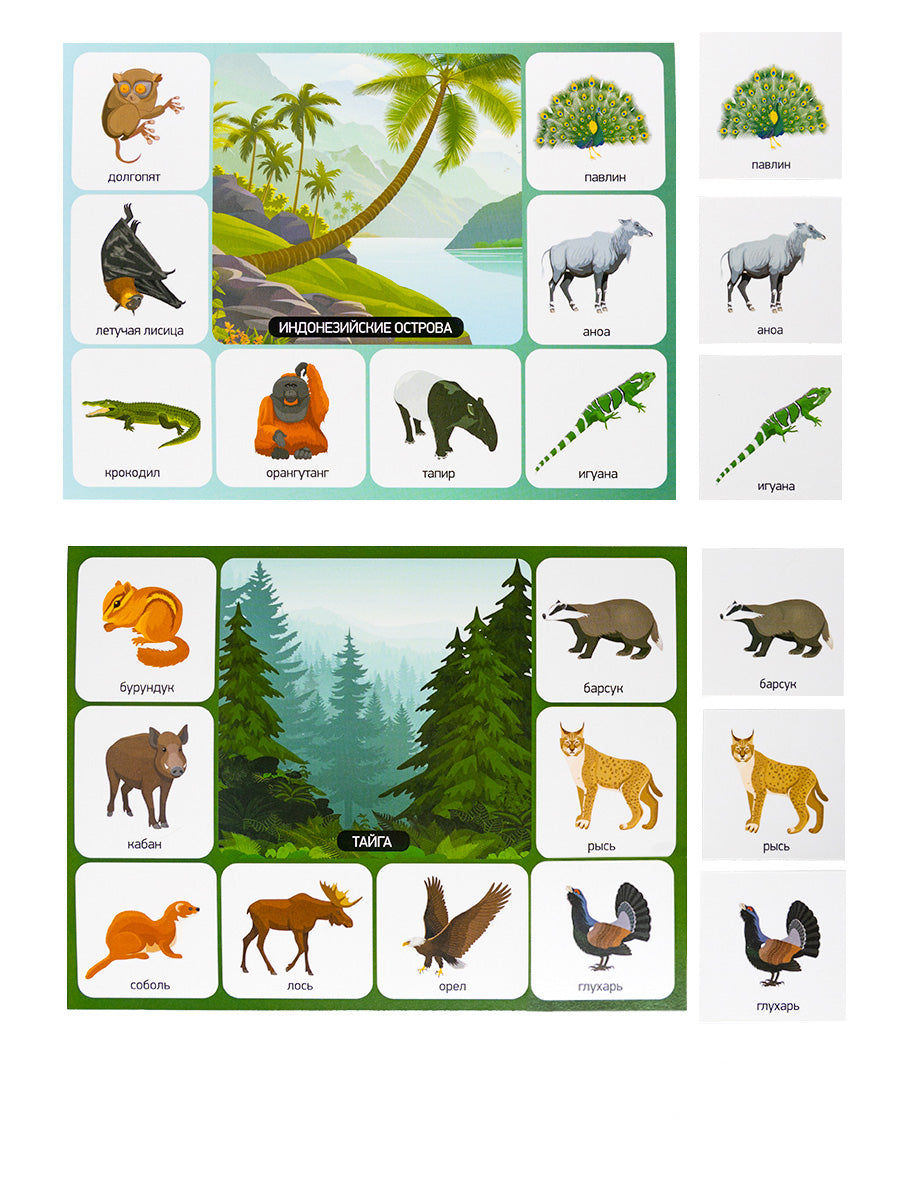 Лото "Кто где живет?" (большое)