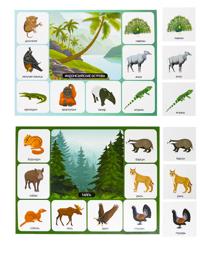 Лото "Кто где живет?" (большое)