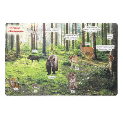 Животные. 50 окошек для малышей. 200х260 мм. 10 картонных страниц. Умка в кор.50шт