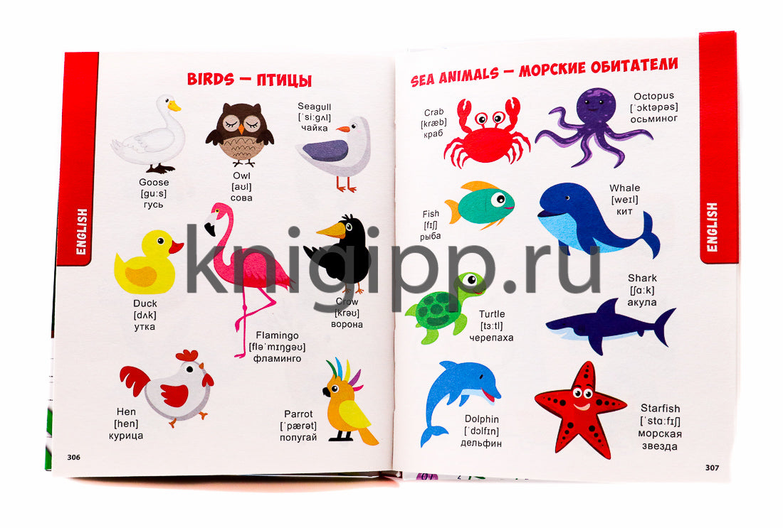 БОЛЬШАЯ КНИГА ЗНАНИЙ
