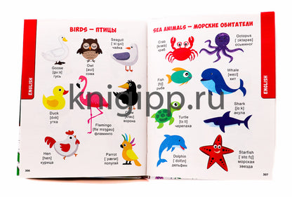 БОЛЬШАЯ КНИГА ЗНАНИЙ