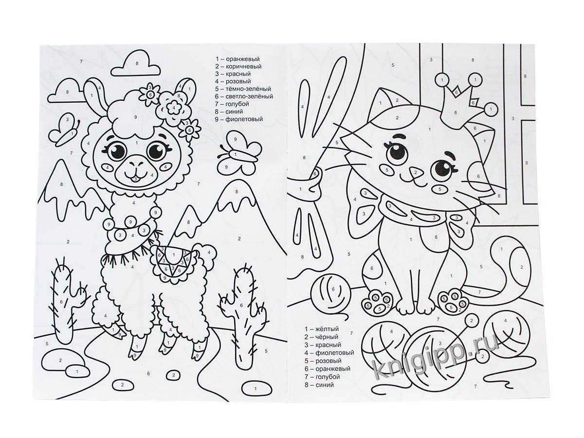 РАСКРАСКА ПО НОМЕРАМ. ЗВЕРЯТА