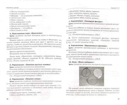 Интеллектуальное развитие детей 5-6л (+CD)