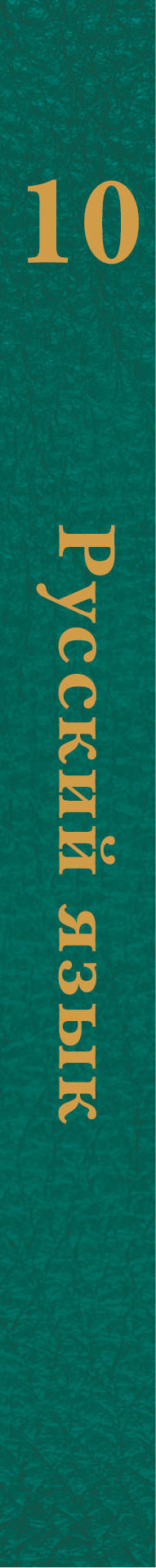Русский язык. Базовый и углубленный уровни. 10 класс. Учебник
