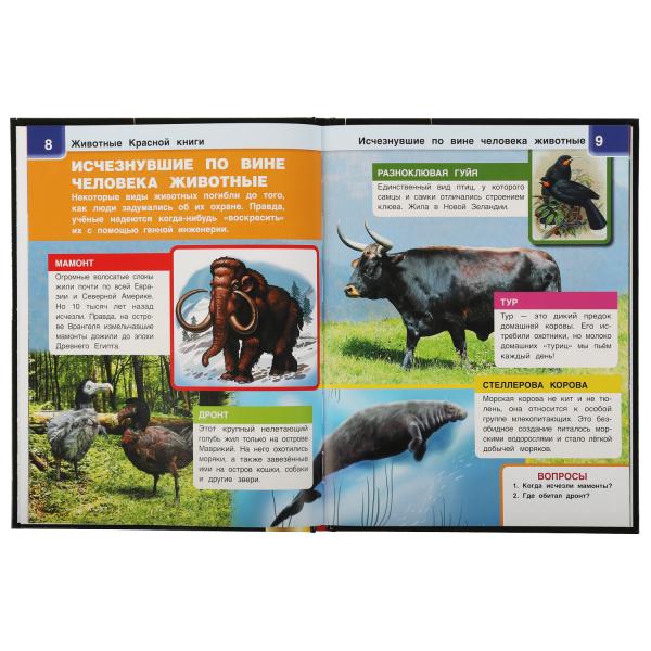 ЖИВОТНЫЕ КРАСНОЙ КНИГИ.Энциклопедия А4 с дополненной реальностью 4D197х255мм,48 стр. Умка в кор.15шт