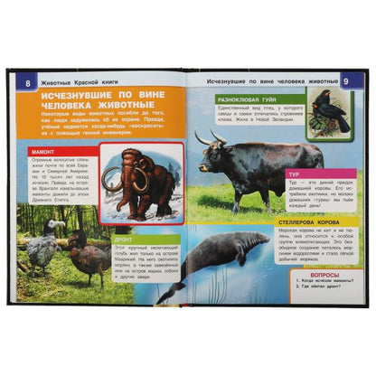 ЖИВОТНЫЕ КРАСНОЙ КНИГИ.Энциклопедия А4 с дополненной реальностью 4D197х255мм,48 стр. Умка в кор.15шт