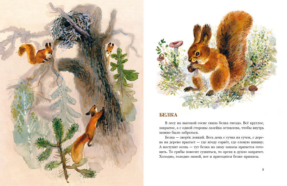 В нашем лесу.: Рассказы В.В. Чаплина. - (Любимая мамина книжка).