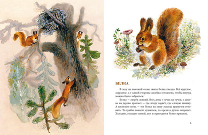 В нашем лесу.: Рассказы В.В. Чаплина. - (Любимая мамина книжка).