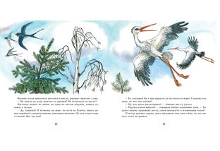 Ель : [сказка] / Г. Х. Андерсен ; пер. с дат. ; ил. О. В. Базелян. — М. : Нигма, 2021. — 48 с. : ил. — (Художники рисуют Андерсена).
