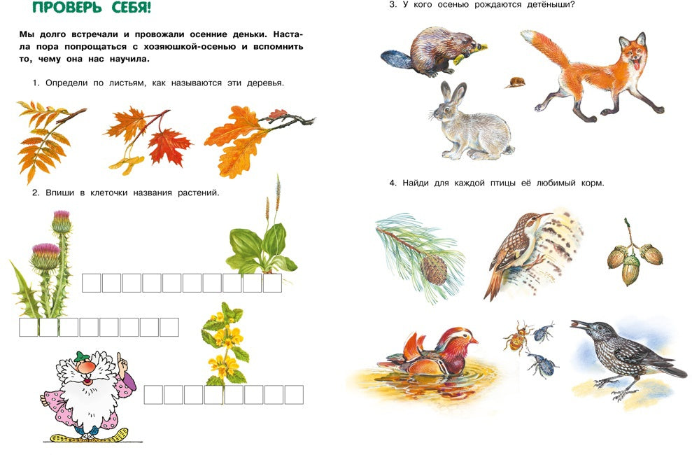 Большая лесная энциклопедия. Знакомимся с природой России