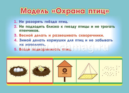 ФГОС ДО Развитие экологической культуры детей 5-8 лет. Комплект Мир животных. Образовательная область "Познавательное развитие". (32 цветные односторонние иллюстрации, 8 черно-белых двухсторонних карт, формат А4)