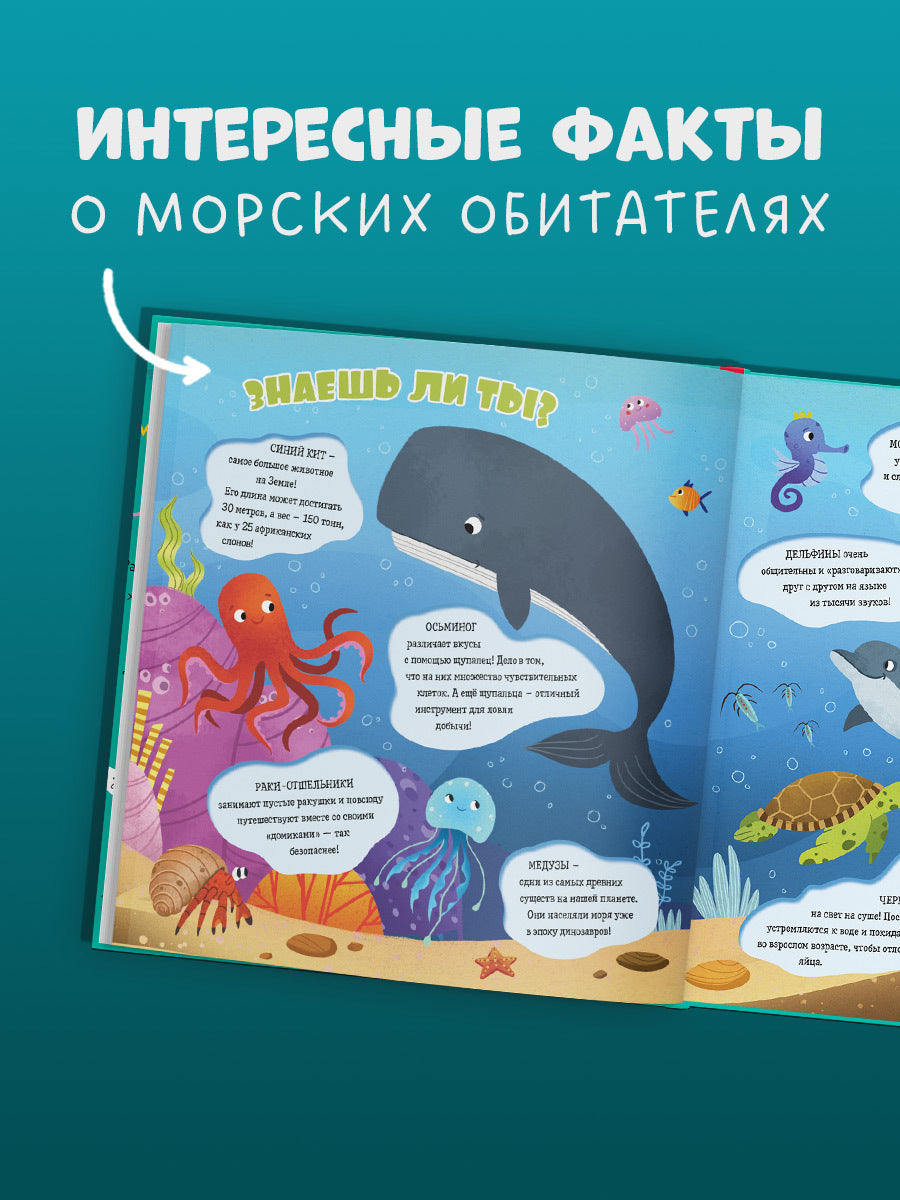 Найди и покажи, малыш. Найди и покажи, малыш. Океаны и моря/Нет а.