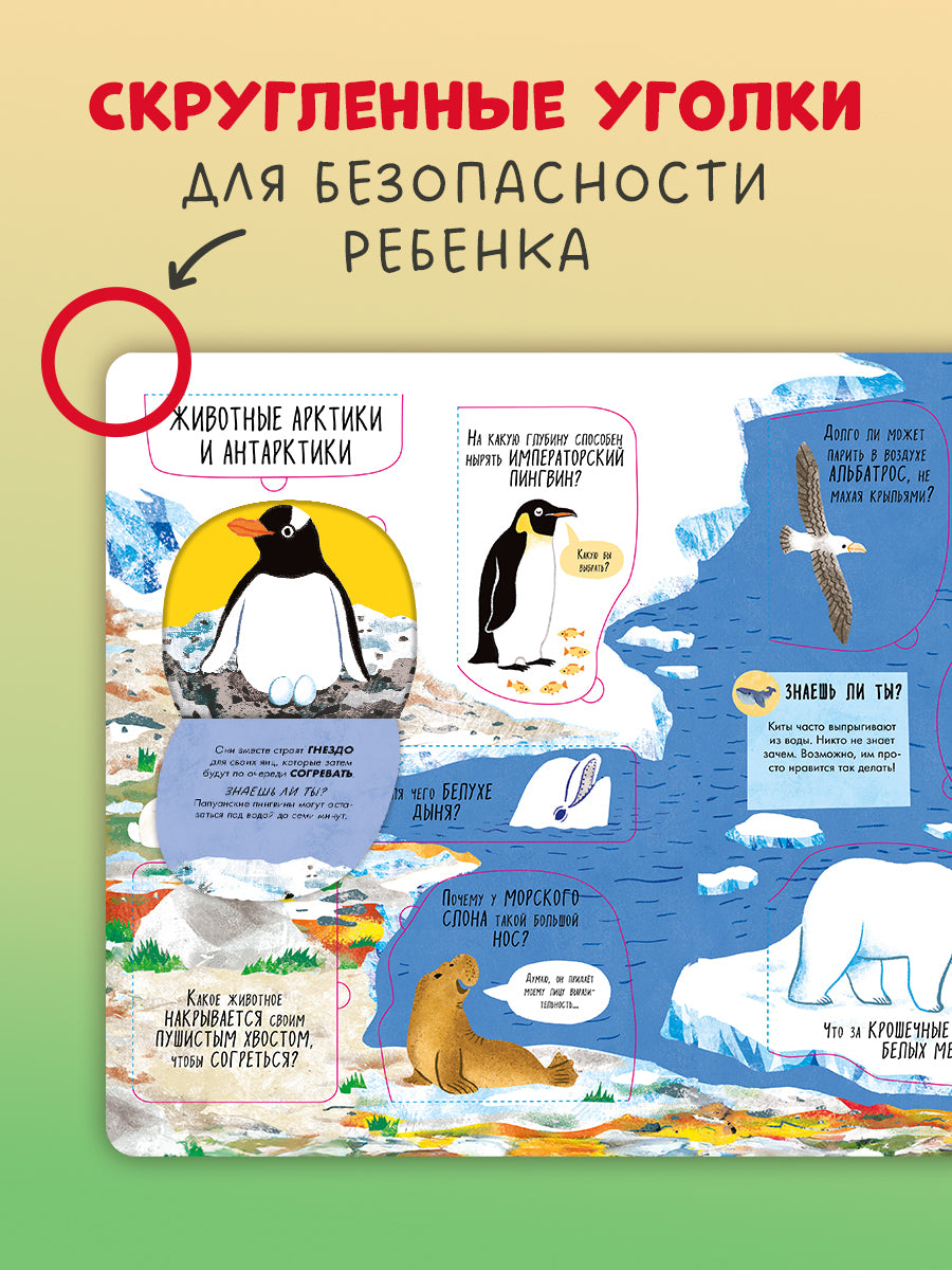 Книжка с окошками. Большая книга с окошками. Животные/Мосс Р.
