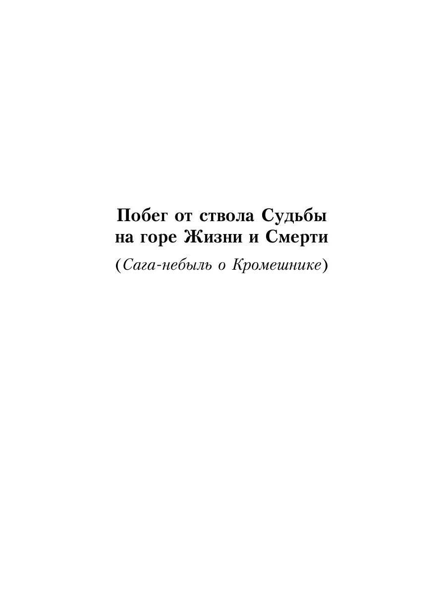 Кромешник: роман