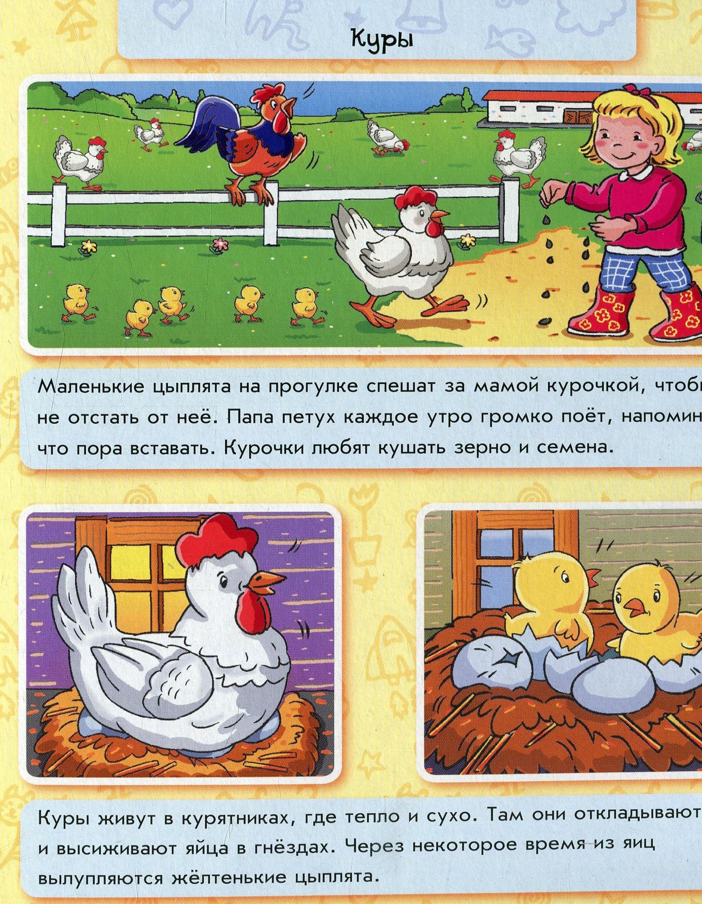 Енциклопедія в картинках: Животные на ферме (р)