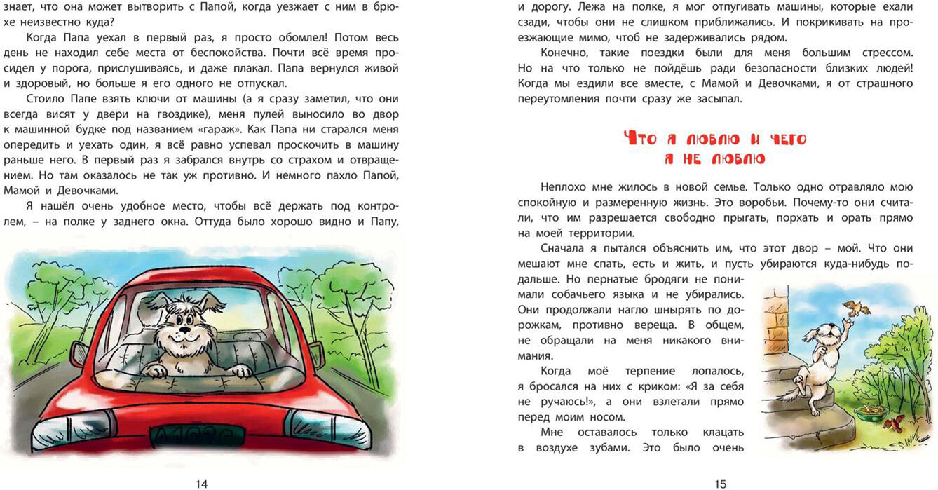 Пух, летающая собака (ожидается поступление)