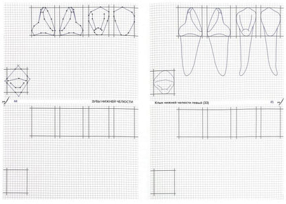 Схематическое изображение контуров зубов. Рабочая тетрадь: Учебно-методическое пособие. Арутюнов С.Д., Даов А.Н.
