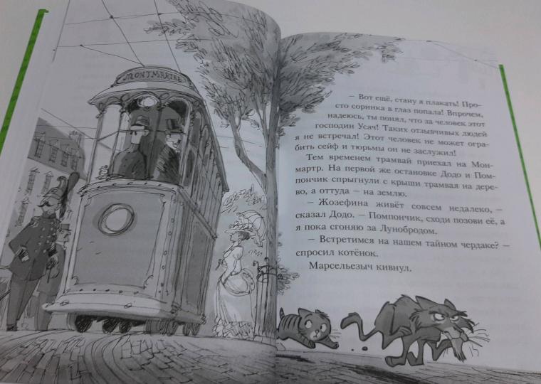 Коты-детективы. Бесстрашная команда