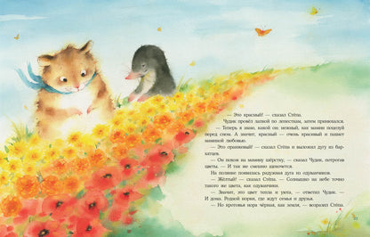 Радуга для Чудика : [сказка] / Н. Шицкая ; ил. О. А. Космодемьянской. — М. : Нигма, 2022. — 32 с. : ил. с автографом