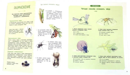 СТР.НонФикшн.Насекомые и др.маленькие животные