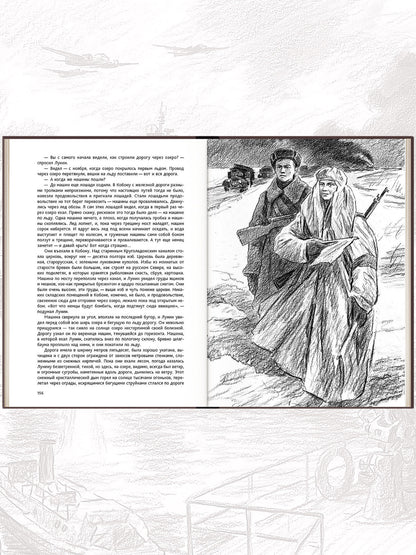 Балтийское небо: роман