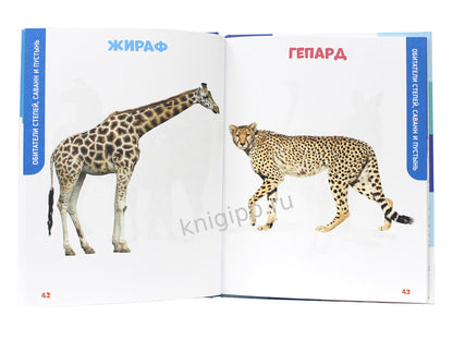 ГЛАВНАЯ КНИГА МАЛЫША. ЖИВОТНЫЕ НАШЕЙ ПЛАНЕТЫ