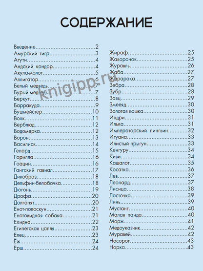 ЛУЧШАЯ ДЕТСКАЯ ЭНЦИКЛОПЕДИЯ новая 96стр. ЖИВОТНЫЙ МИР ОТ А ДО Я