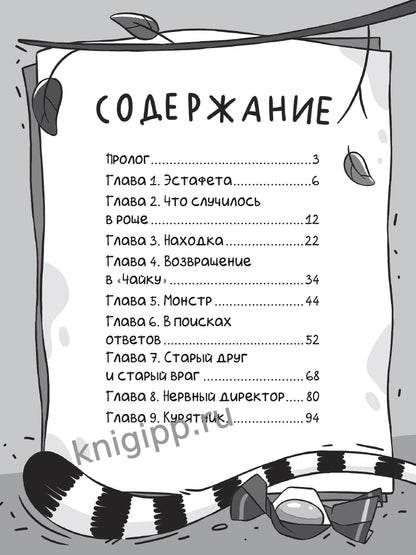 ДЕТСКИЙ ДЕТЕКТИВ С КОМИКСОМ. Светка Королёва и три мушкетёра. Мыс рока