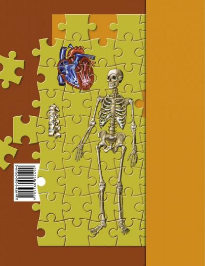 Драгомилова 8 кл. Биология. Человек. Рабочая тетрадь № 1 (УМК Пономарева, концентрический курс)(Вентана-Граф)
