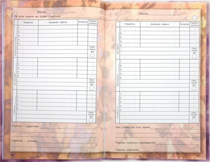 Дневник школьника 4кл ФГОС