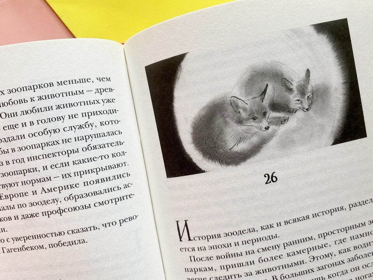 Остров, одетый в джерси