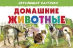 Карточки. Домашние животные ; Карточки. Домашние животные