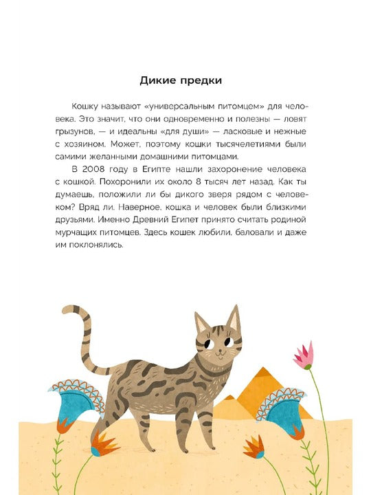 Хочу котенка! Полное пособие по уходу за питомцем
