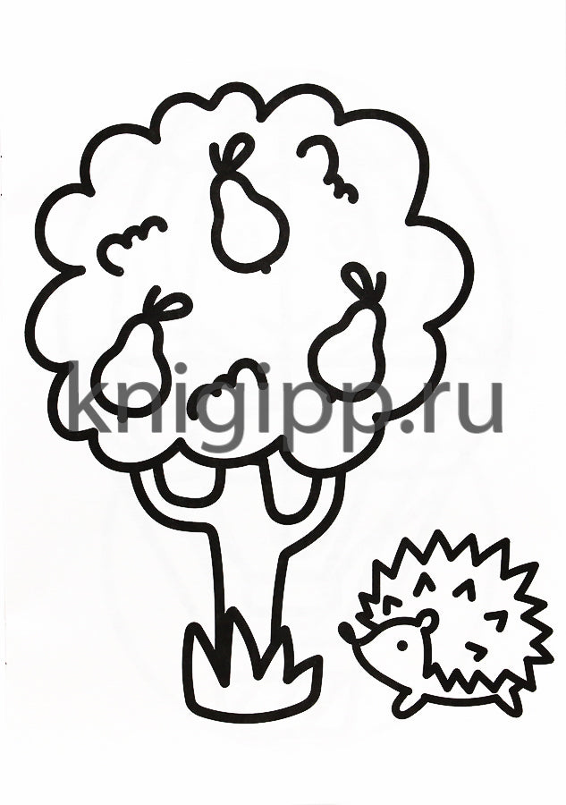 РАСКРАСКА А4 эконом. ПЕРВЫЕ КАРТИНКИ