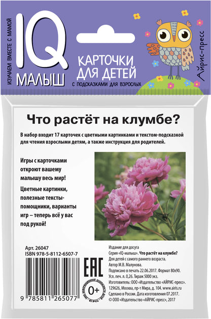 Умный малыш. Что растёт на клумбе? Набор карточек для детей.