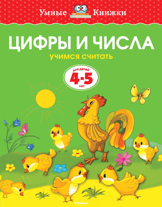 Цифры и числа (4-5 лет)