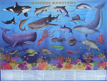 Морские животные. Цифры и факты.Настольное издание