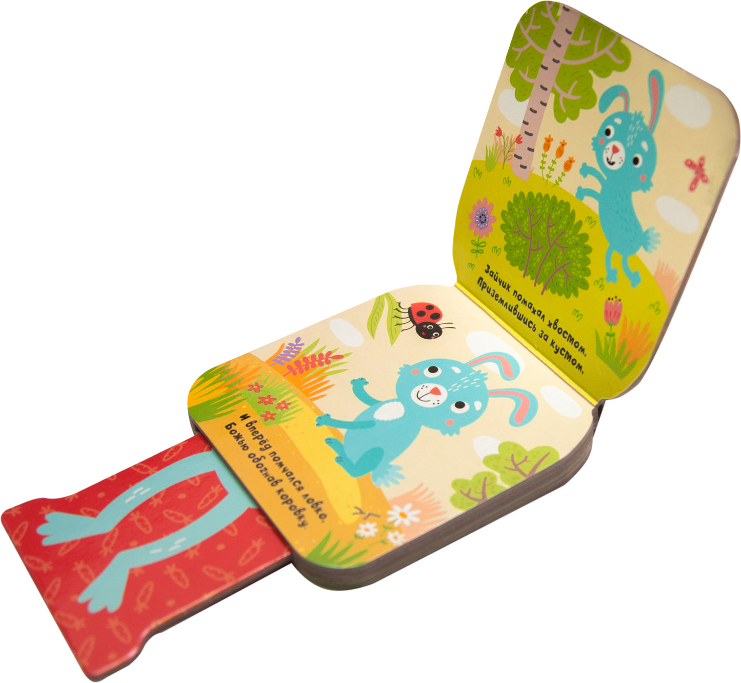 Попрыгунчики. Зайчик