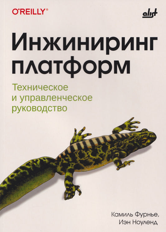 Инжиниринг платформ.