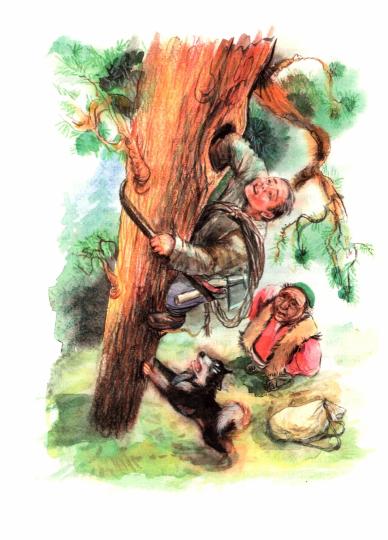 НМ Зиганшин. Маха, или История жизни кунички