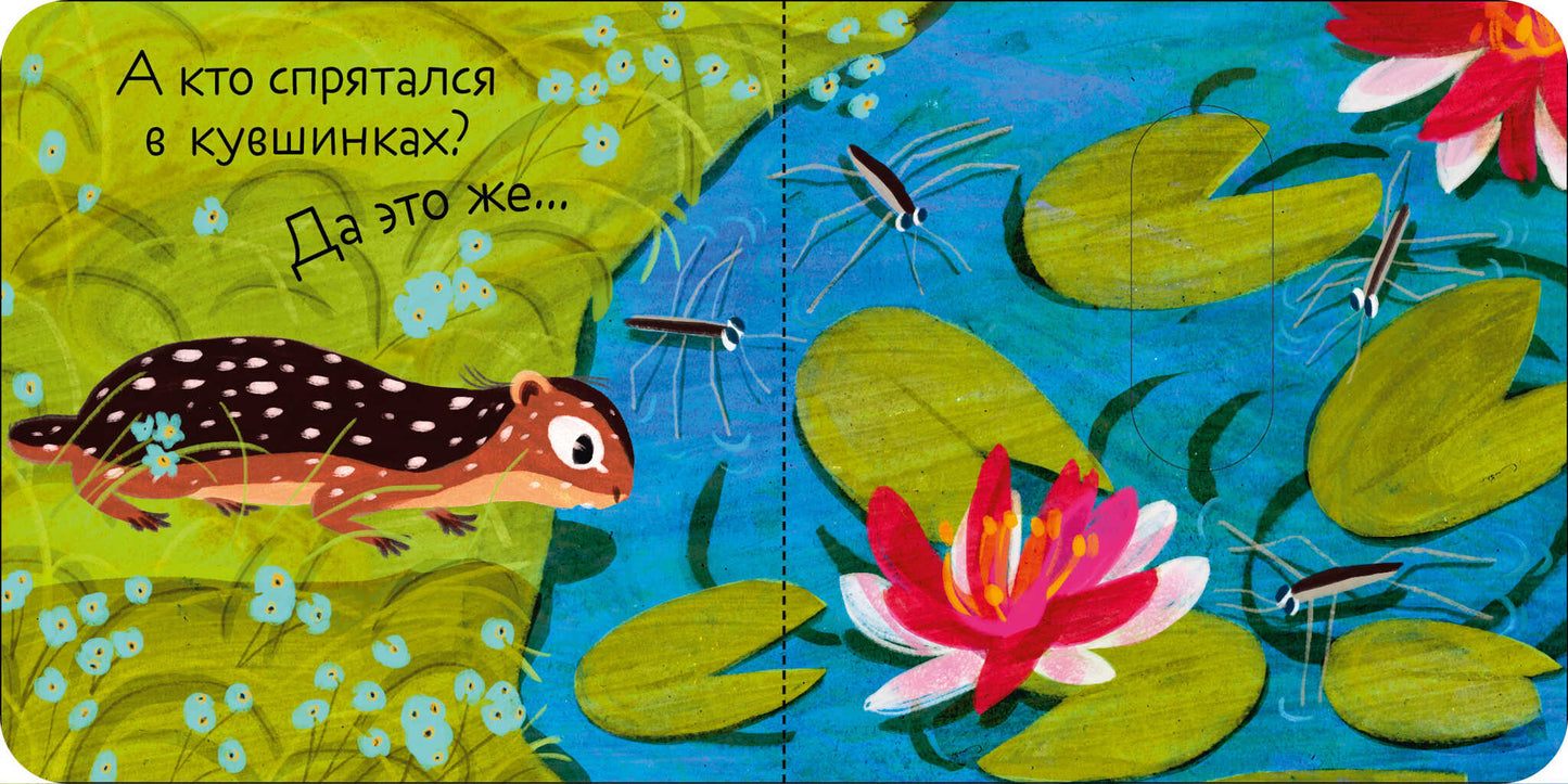 Вжух! Кто где живет?