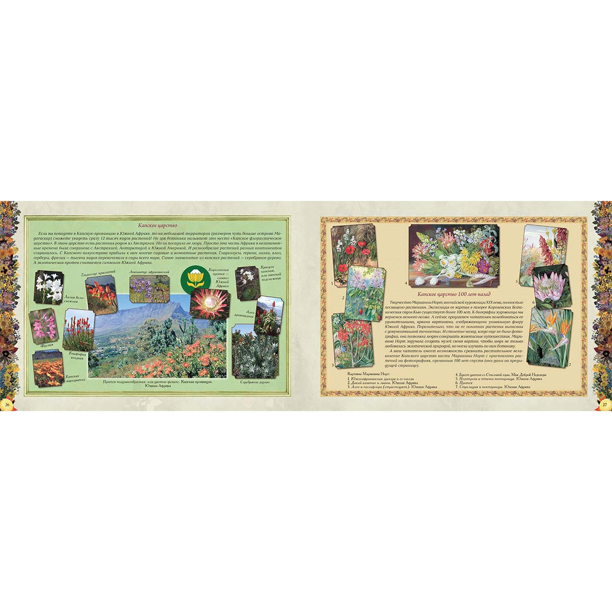 Мой первый гербарий