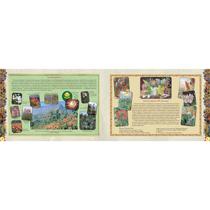 Мой первый гербарий