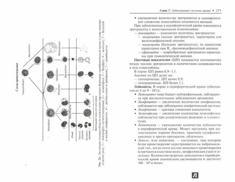 Терапия:учеб.пособие .