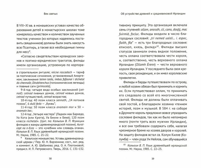Век святых. Мир ирландского монашества до английского завоевания
